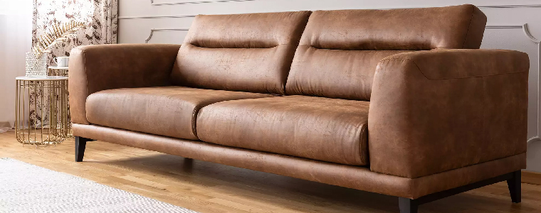 Leather Couch Fresh and Clean